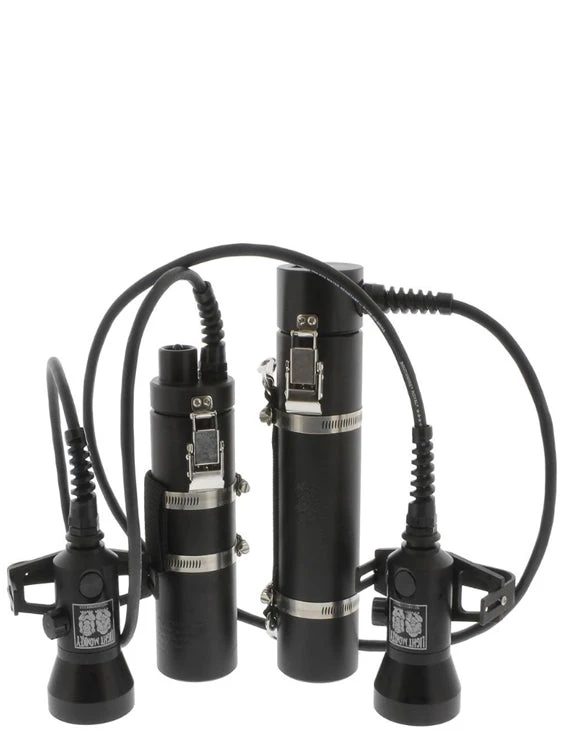 Light Monkey 20W Variable Fixed Focus LED Canister Torch Torches 3 Light Monkey 20W Variable Fixed Focus LED Canister Torch Torches